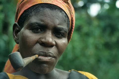 http://www.transafrika.org/media/Uganda Bilder/Pygmaee Regenwald.jpg